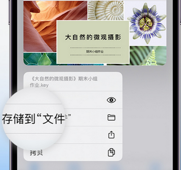 平塘apple维修中心分享iPhone文件应用中存储和找到下载文件