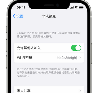 平塘apple服务站点分享iPhone上个人热点丢失了怎么办 