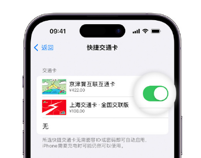 平塘apple维修点分享iPhone上更换Apple Pay快捷交通卡手绘卡面 