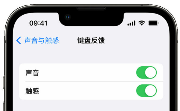 平塘苹果手机维修分享iPhone 14触感键盘使用方法 