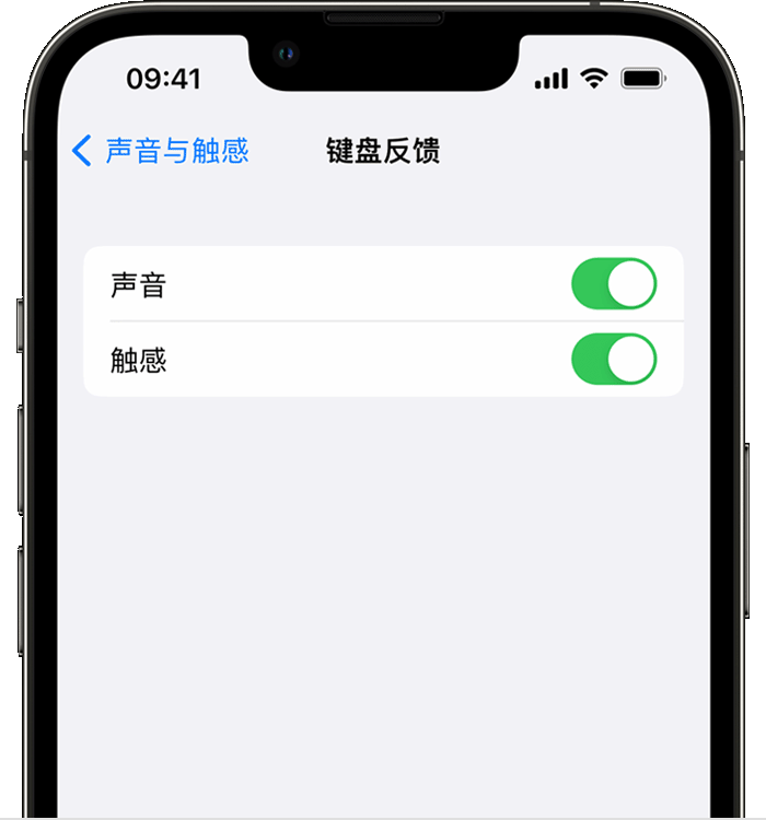 平塘苹果14维修店分享如何在 iPhone 14 机型中使用触感键盘 