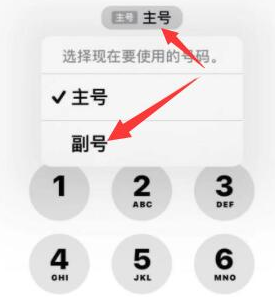 平塘苹果14维修店分享iPhone 14 Pro Max使用副卡打电话的方法 