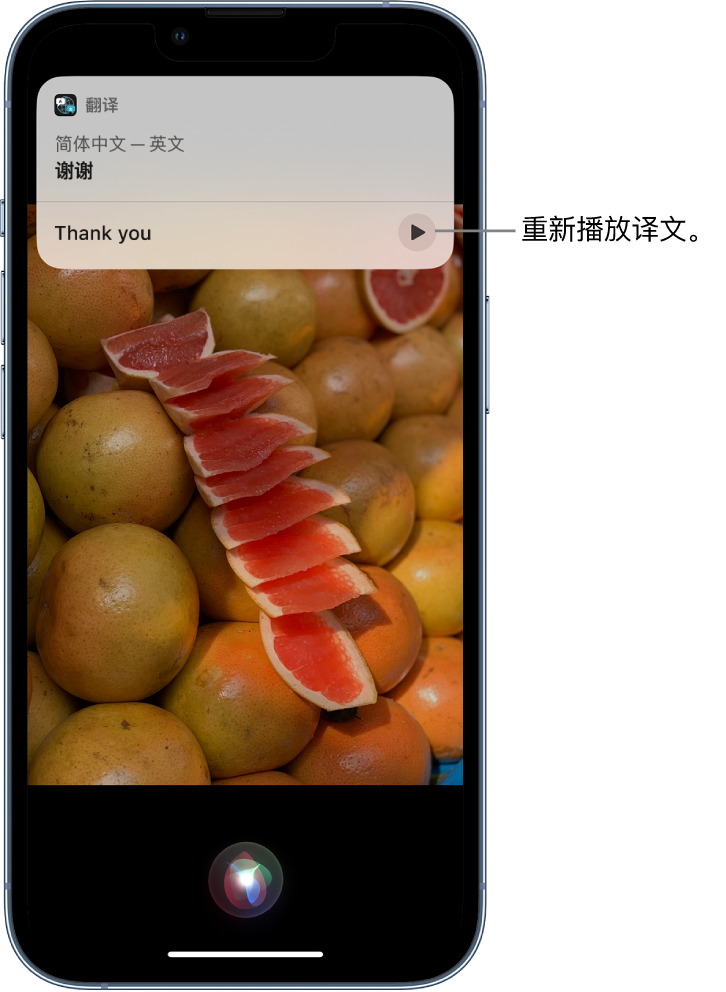 平塘苹果14维修分享 iPhone 14 机型中使用 Siri：了解 Siri 能帮你做什么 