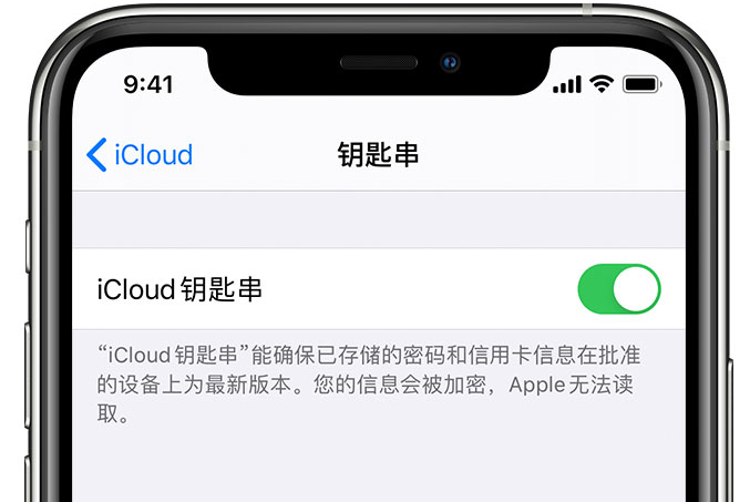 平塘苹果手机维修分享在 iPhone 上开启 iCloud 钥匙串之后会储存哪些信息 