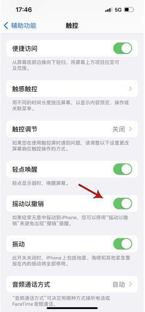 平塘苹果手机维修分享iPhone手机如何设置摇一摇删除文字 